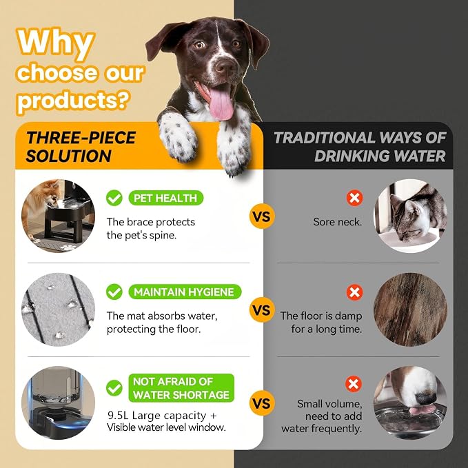 CZPET Elevated Dog Water Bowl Dispenser - Image 4