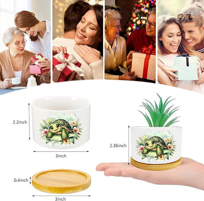 Turtle Succulent Pots 3 Pack, 3 Inch Succulent Planters - Image 3