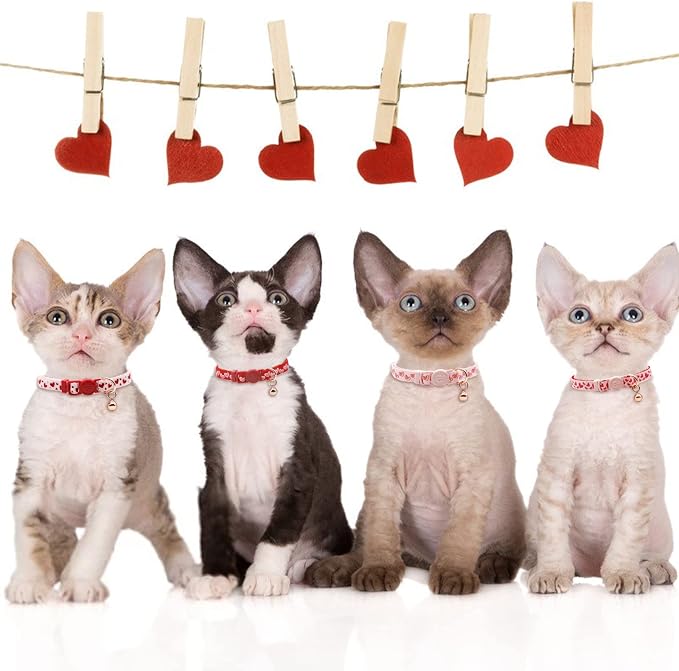 azuza 4 Pack Valentines Kitten Collar - Image 2