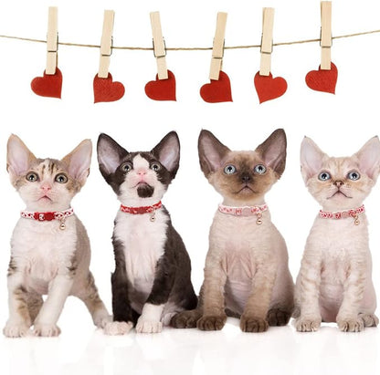 azuza 4 Pack Valentines Kitten Collar - Image 2