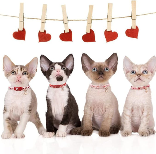azuza 4 Pack Valentines Kitten Collar - Image 2