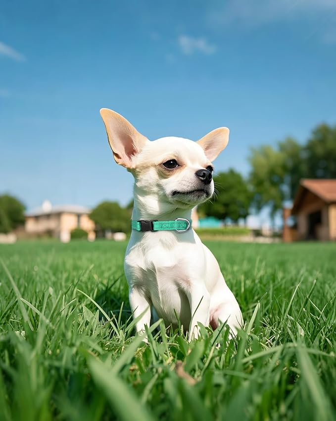 Joytale Small Dog Collar, Reflective and Adjustable Nylon Collar - Image 2