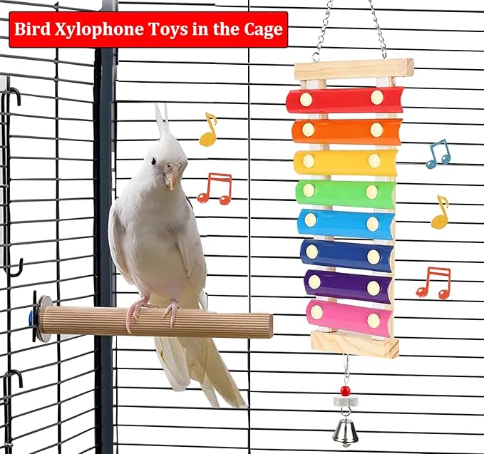 Large Parrot Suspensible Xylophone Toy, Medium Birds, African Grey - Image 2