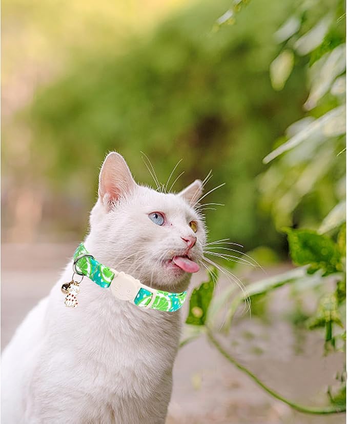 Cat Collar-2 Pack Cute Cat Collars Peach & Lemon Print Breakaway - Image 5