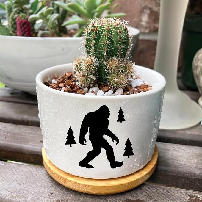 Window Garden Bigfoot Planter Pots, Bigfoot Gifts - Image 6