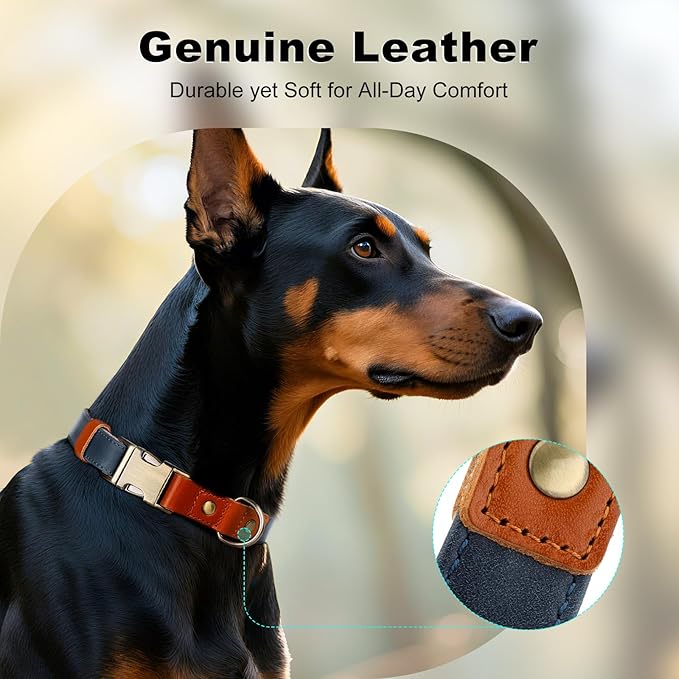 Plutus Pet Genuine Leather & Hemp Dog Collar – Adjustable Heavy Duty Pet Collar - Image 3