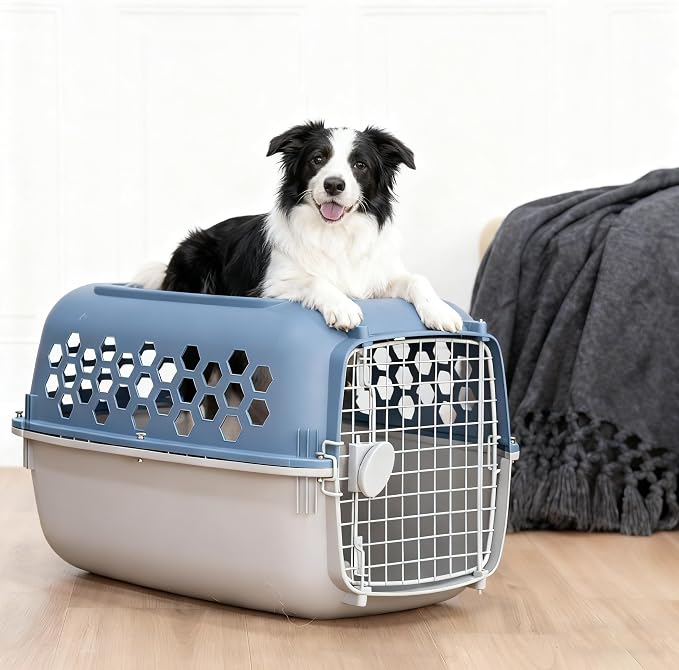 24" Pet Kennel Carrier for Small Dogs & Cats - Image 6