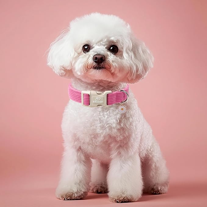 Cute Corduroy Dog Collar - Image 2