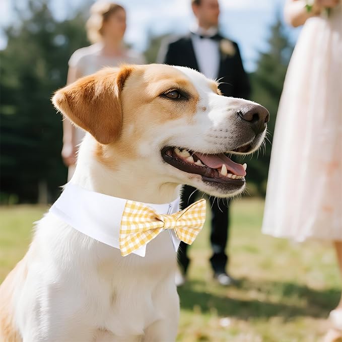 Segarty Dog Bow Tie, Adjustable Yellow Plaid Bowtie Collar - Image 5