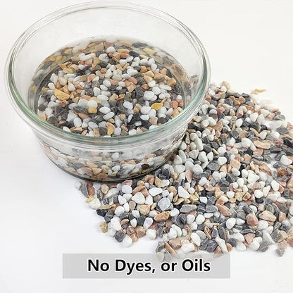 5LBS Succulent and Cactus Gravel Pebbles, 1/5 Inch Natural Decorative Polished - Image 3