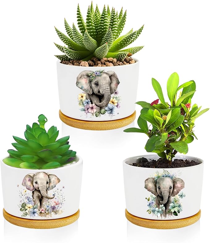 Elephants Succulent Pots 3 Pack, 3 Inch Succulent Planters by Databa