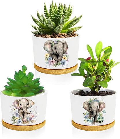 Elephants Succulent Pots 3 Pack, 3 Inch Succulent Planters by Databa