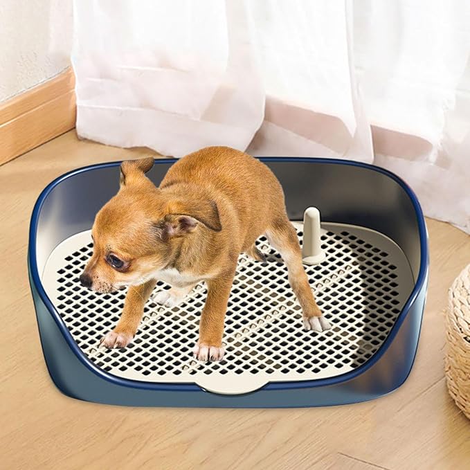 Dog Tray with Wall for Cats and Dogs, Elevated Pet Feeding Station, - Image 3