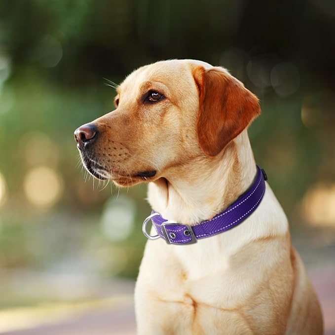 Fida Heavy Duty Dog Collar, Ultra Comfortable Soft Neoprene Padded, Adjustable - Image 7