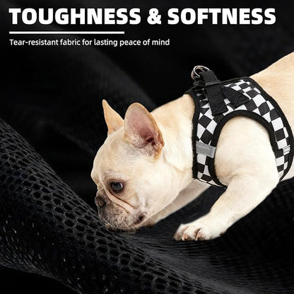 PUPTECK Adjustable Dog Harness Collar and Leash Set Step in No Pull Pet Harness - Image 5
