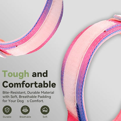 2026 Upgrade Waterproof AirTag Dog Collar, Military Tactical Dog Collar - Image 5