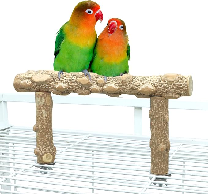 Bird Perch Stand, Bird Cage Top Perch Gym, Natural Wood Parrot Branch by KINTOR
