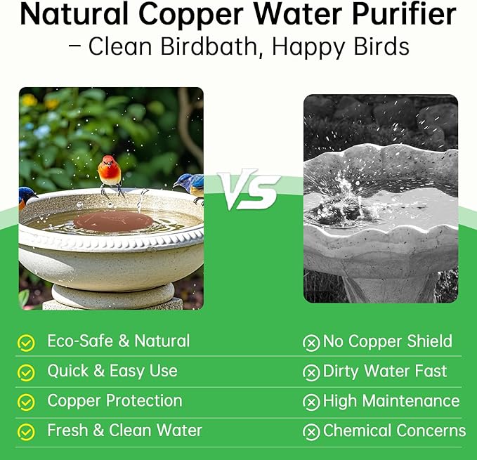 2 Pack Bird Bath Copper Discs, 99.9% Pure Copper Cleaner - Image 4