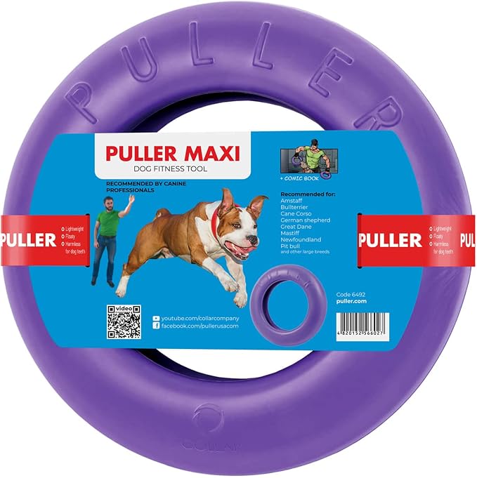 COLLAR Puller Outdoor Ring Toy by COLLAR