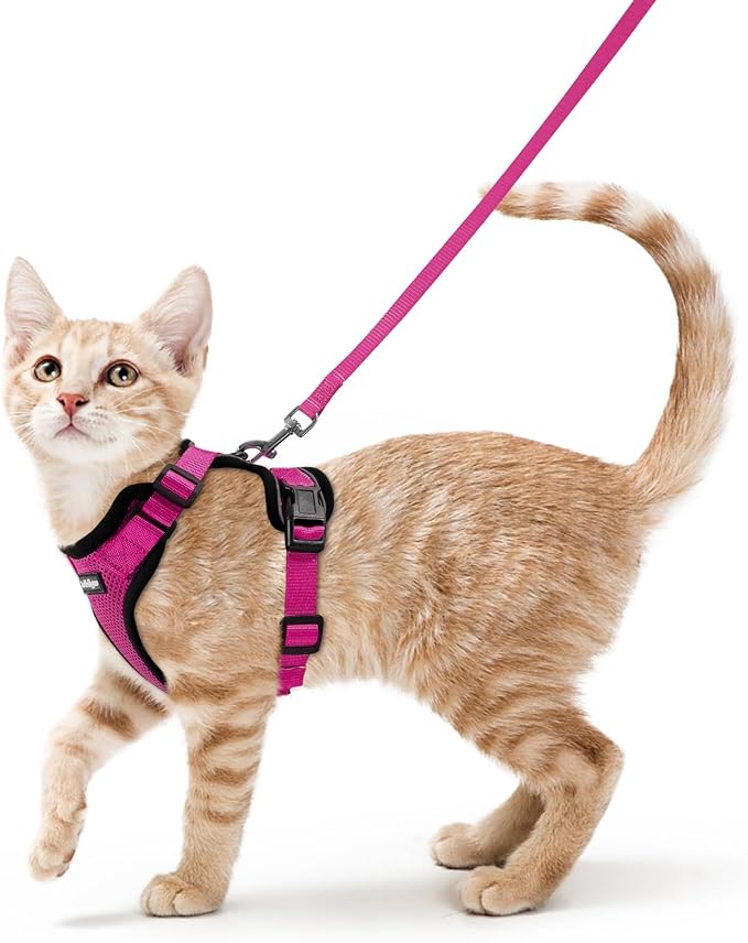 rabbitgoo Cat Harness and Leash by rabbitgoo