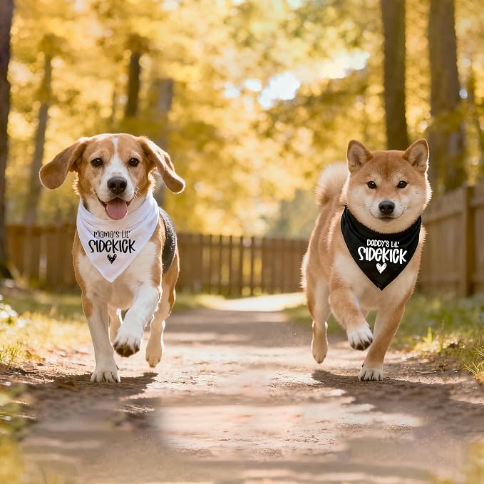 2 Pack Dog Bandana Pregnancy Announcement, Daddy's and Mama's Lil Sidekick - Image 6