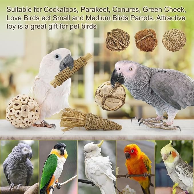 7Pcs Bird Toy Large Chewing Balls - Image 7