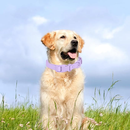 Waterproof Dog Collar Soft Rubber Dog Collar - Image 2