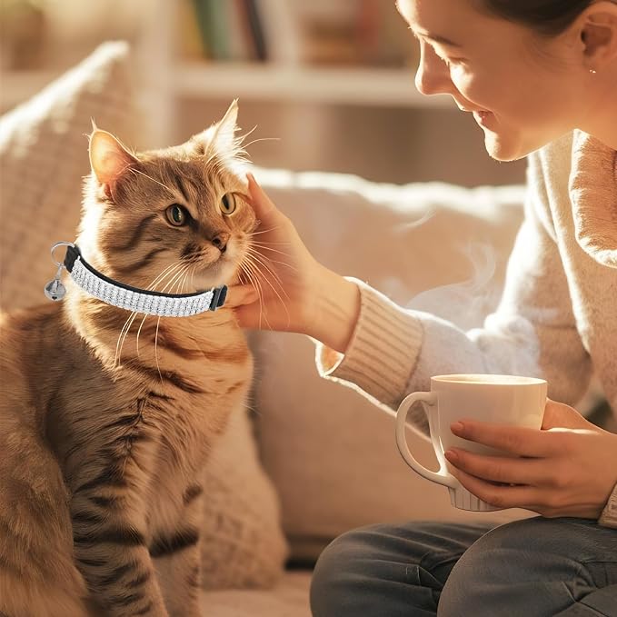 EXPAWLORER Soft Velvet Safe Cat Collars - Image 8