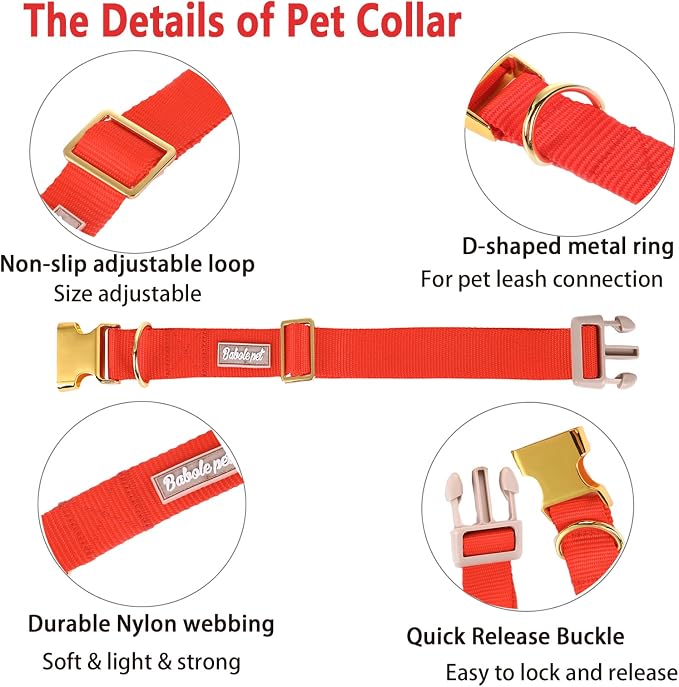Nylon Dog Collar - Image 4