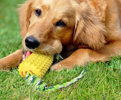 Carllg Dog Chew Toys, Puppy Toothbrush Clean Teeth Interactive Corn Toys - Image 4