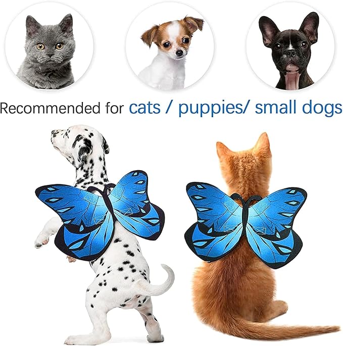 Pet Cat Bat Wings for Halloween Party Decoration, Puppy Collar Leads Cosplay - Image 6