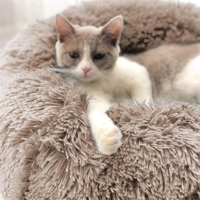 Cat Beds for Indoor Cats - Image 7
