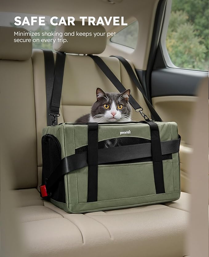 Pecute Cat Carrier Stable, Pet Carrier - Image 3