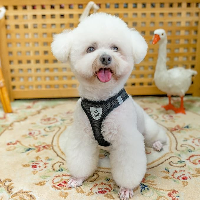 PUPTECK Adjustable Dog Harness Collar and Leash Set Step in No Pull Pet Harness - Image 7