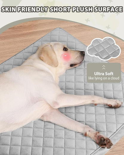 Orthopedic Dog Beds for Small Dogs Waterproof - Image 3