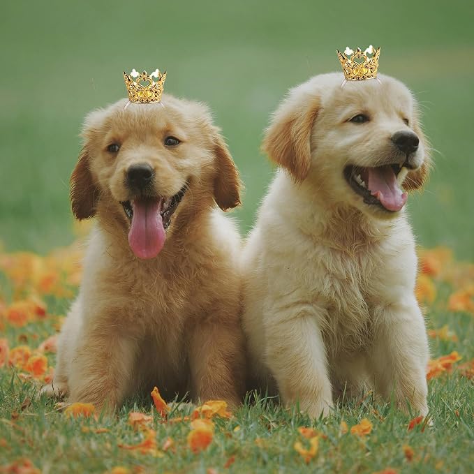 1PCS Crown Tiara Headband for Cat Dogs Puppy Birds Ducks Chicken Rabbit Hamster - Image 7