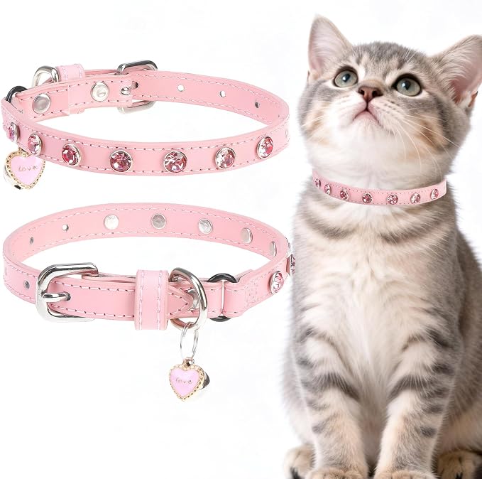 EXPAWLORER Leather Cat Collar for Girl Boy- Adjustable Pet Collar by EXPAWLORER