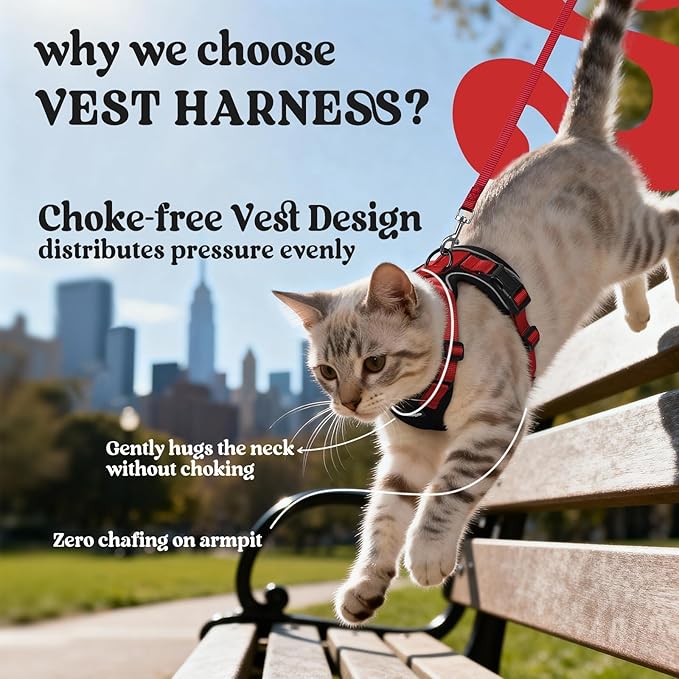 rabbitgoo Cat Harness and Leash - Image 3
