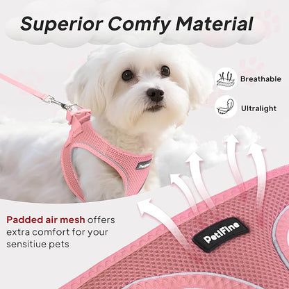 PetiFine Step in Small Dog Harness and Leash Set, Breathable All Weather Air - Image 2