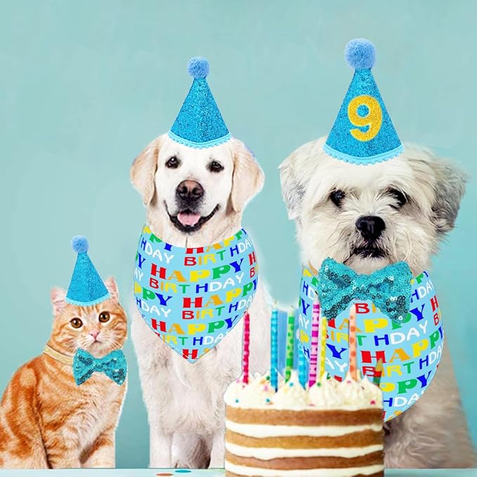 PET SHOW 3Pcs Blue Small Dog Birthday Bandana Set - Image 6