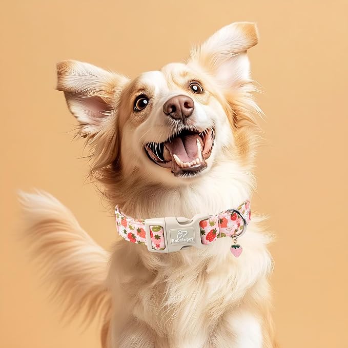 Strawberry Dog Collar for Medium Dogs - Image 2