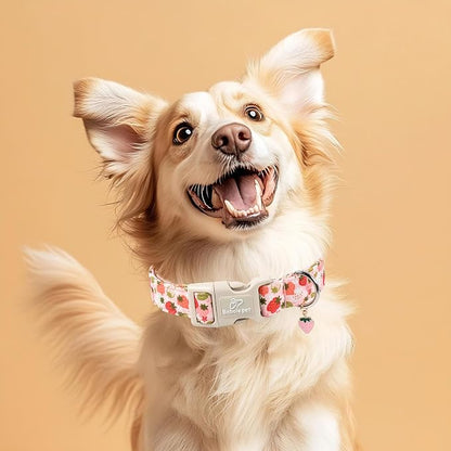 Strawberry Dog Collar for Small Dogs - Image 2