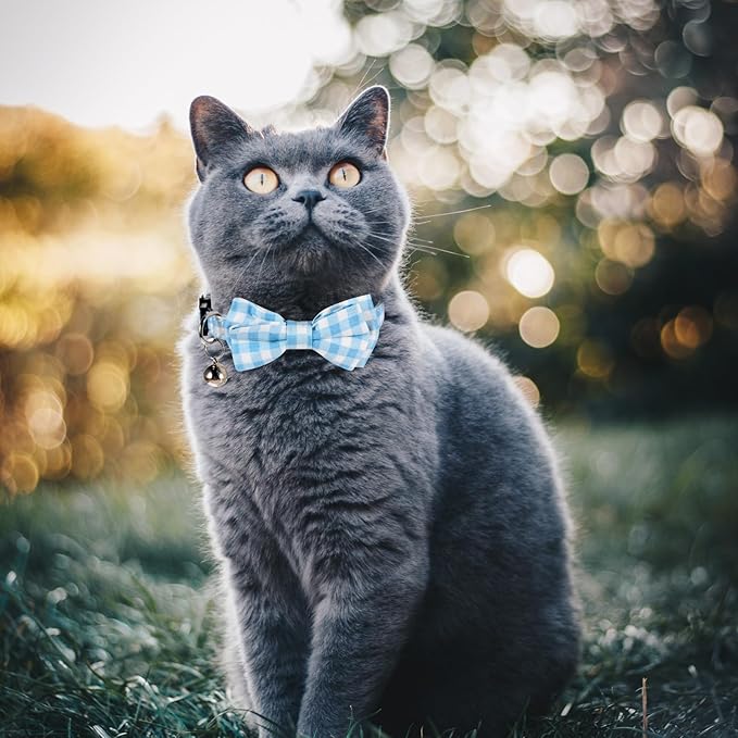 2 Pcs Boy Cat Collar with Bell Breakaway Cat Collars Cute Kitten Bow Tie Collar - Image 4