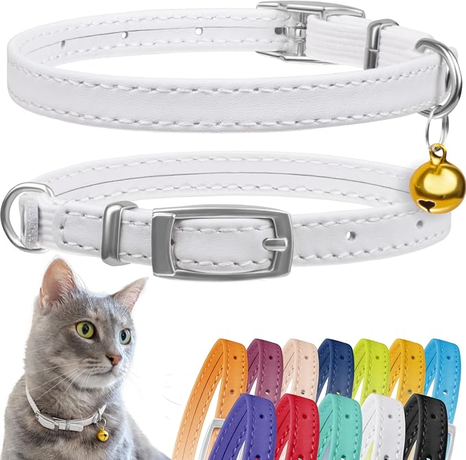 CollarDirect Leather Cat Collar, Cat Safety Collar by CollarDirect