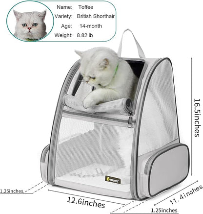 Texsens Pet Backpack Carrier for Small Cats Dogs | Ventilated Design, Safety - Image 2