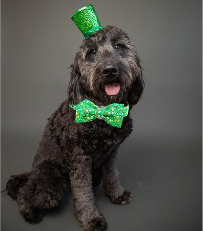 Lionheart glory Dog Bow Collar St. Patrick's Day Dog Collar - Image 4