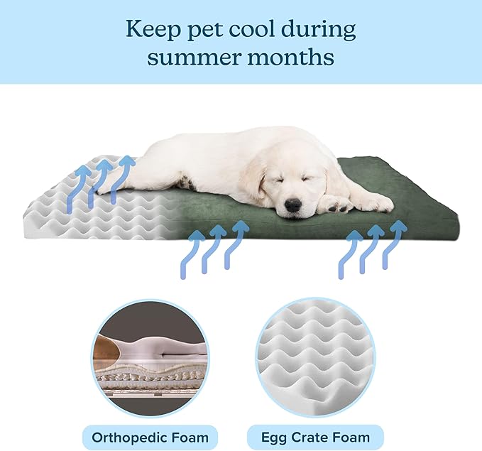 Water-Resistant Dog Bed - Image 3