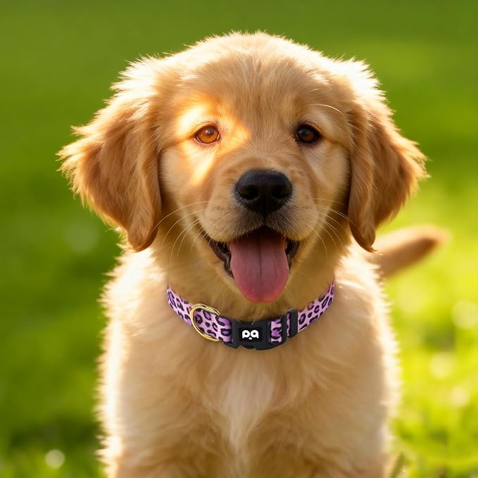 QQPETS Adjustable Soft Dog Collar: Print Flower Pink Multicolor Cute Patterns - Image 7