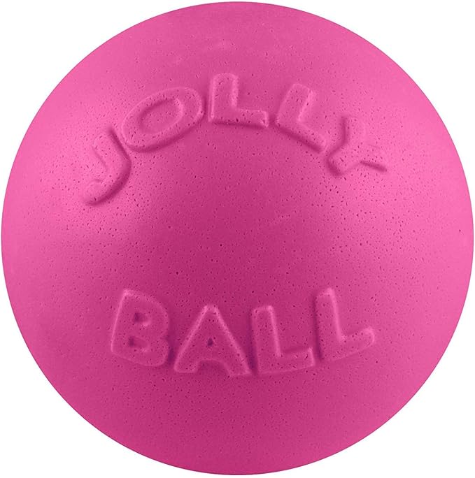 Jolly Pets Bounce-n-Play Dog Toy Ball, 6 Inches, 6 Inches/Medium by JollyPets