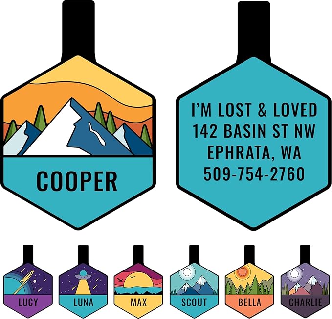 GoTags Silent Dog Tag, Personalized Engraved Hexagon Silicone Dog and Cat Name by GoTags